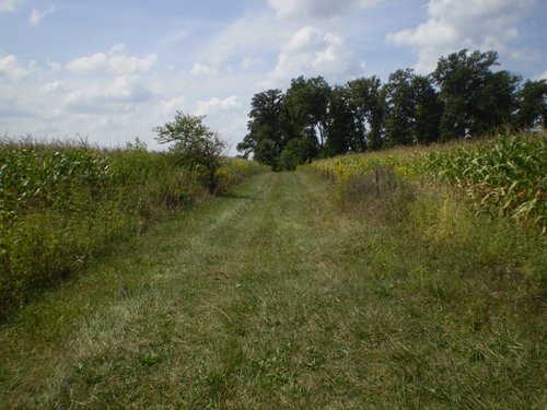 Property photo 6 - 40 Acres in 4 Tracts - Great Location!